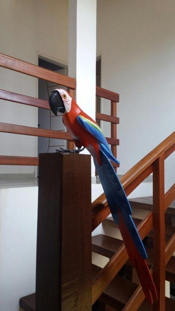 Casas Peroba Maragogi Villa Bagian luar foto